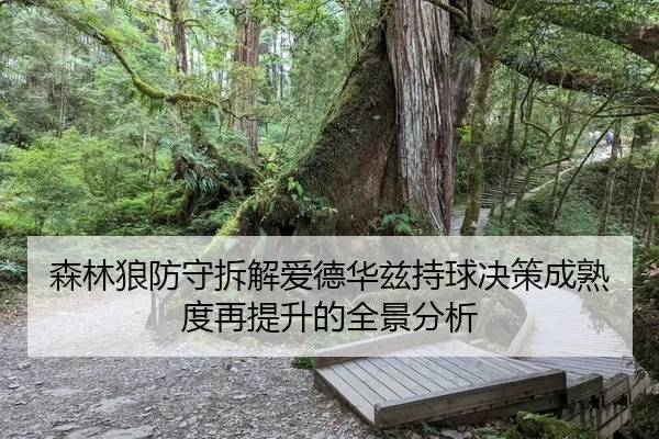 森林狼防守拆解爱德华兹持球决策成熟度再提升的全景分析