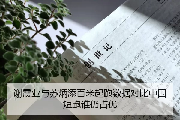 谢震业与苏炳添百米起跑数据对比中国短跑谁仍占优