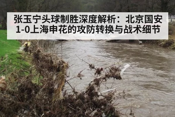 张玉宁头球制胜深度解析：北京国安1-0上海申花的攻防转换与战术细节