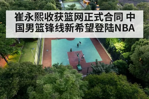 Chinese basketball player
